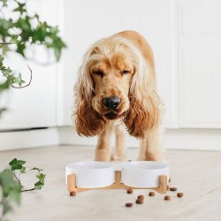 Miska dla Kota Psa Biała 2 szt na Stelażu Ceramiczna