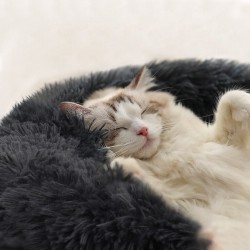 copy of Legowisko dla Psa Kota Puchate Ciemno Szare 120 cm Okrągłe