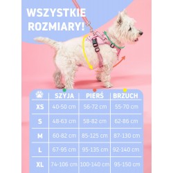 Smycz i szelki dla Psa Różowa M