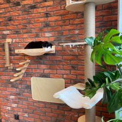 DRAPAK MATA DLA KOTA 60x40cm 332494