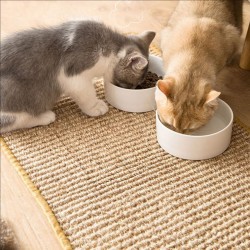 DRAPAK MATA DLA KOTA 60x40cm 332494