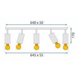 Lampa Sufitowa Reflektor APP1242-6C Czarna