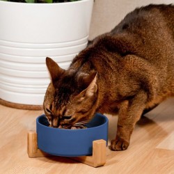 Miska Ceramiczna Dla Psa lub Kota Niebieska PJ-033