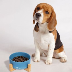 Miska Ceramiczna Dla Psa lub Kota Niebieska PJ-033