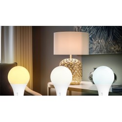 Żarówka LED Neutralna E-27 12W RSL027