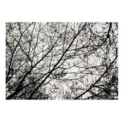 Dywan Nature 4D White/Black Trees 140x200 cm