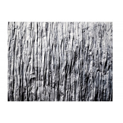 Dywan Nature 4D Grey Rock 160x230 cm